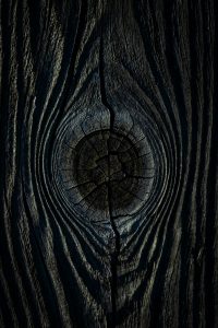 Photo by Dylan Hunter a close up of a tree trunk with a hole in it