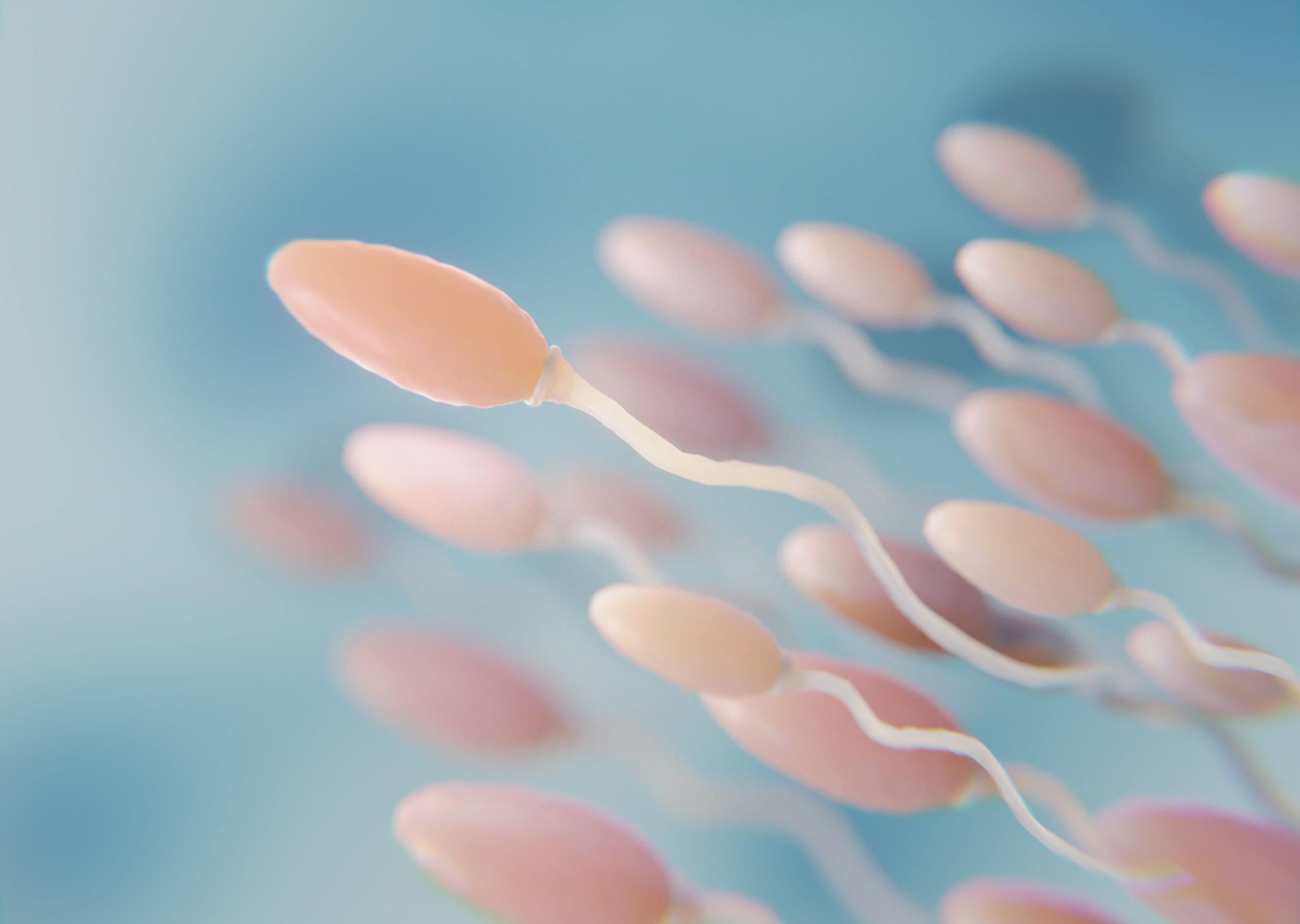 fertilidade
